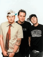 blink 182 to tour australia without its drummer