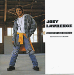 joey lawrence - nothin my love can't fix