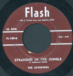 stranded in the jungle - the jayhawks